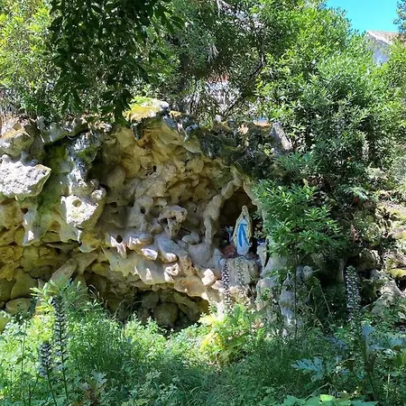 Apartamento Tres Bel En Rez De Jardin, Pereire, 100 M De La *